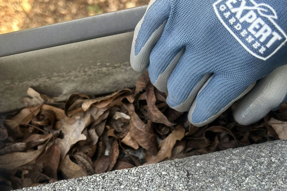 Gutter Cleaning Oxon Hill