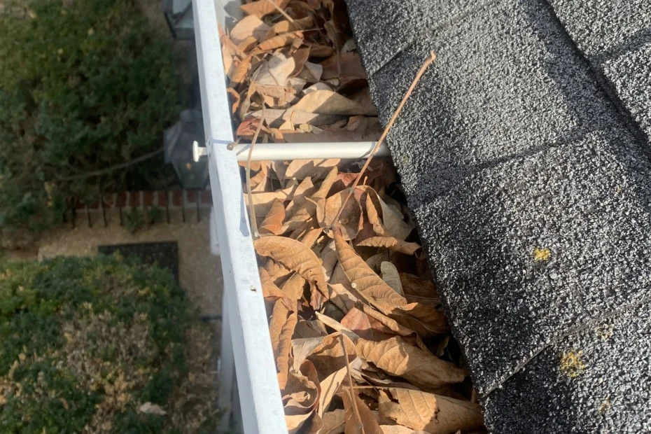 Gutter Cleaning Oxon Hill